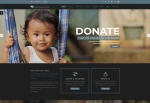 Charity Website And Web Application 38 charity website and web application