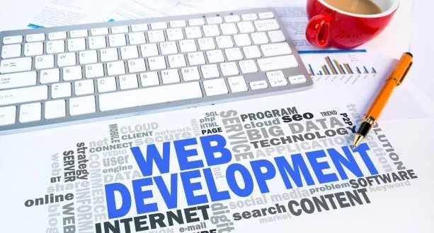 WordPress Web Development 2 development