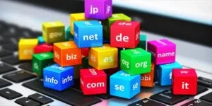 Domain 20 Domain