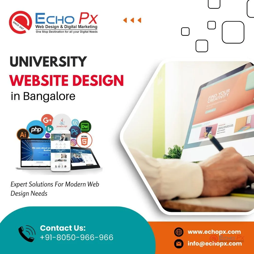 Website Development Packages