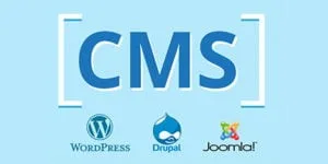 CMS Hosting 6 cms-hosting-echopx-technologies