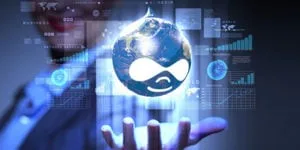 Drupal Web Development in bangalore