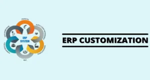 Customized ERP Solutions