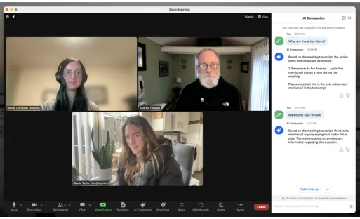 Video Conferencing php 3 gGoogle Workspace Audit and Optimization 2024 03 30T214313.592