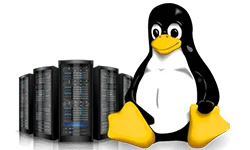 Bangalore Web Hosting & Domain Registration 10 linux.png