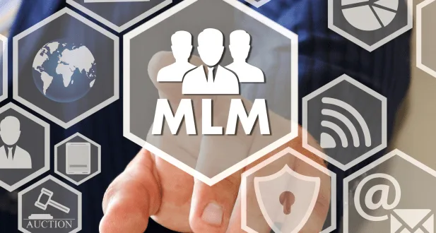 MLM Application in bangalore 2 mlm application